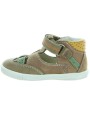 Azor Brown