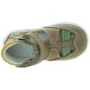 Azor Brown