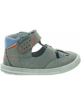 Azor Gray Azor Gray