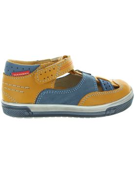 Shaw Multi Shaw Multi