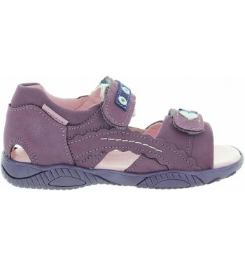 Carla Purple