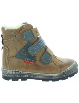 Ludwig Brown Ludwig Brown