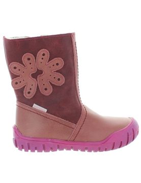 Asteria Rose Asteria Rose