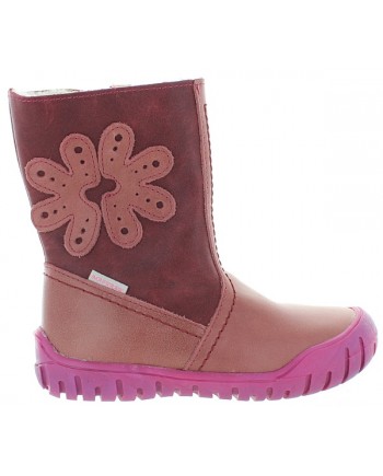 Asteria Rose