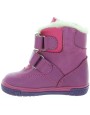 Ludmila Purple