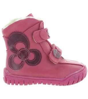 Cytryna Fuschia