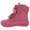 Cytryna Fuschia