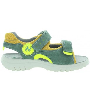 Midas Olive