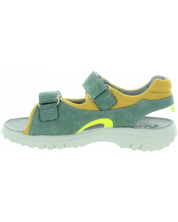 Midas Olive
