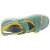 Midas Olive