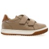 Ster Beige