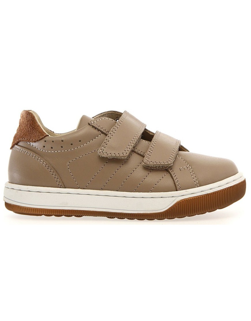 Ster Beige