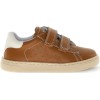 Japon Brown