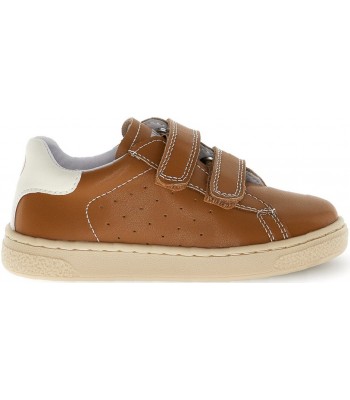 Japon Brown