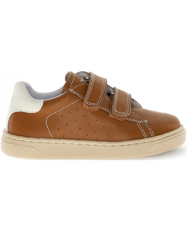 Japon Brown