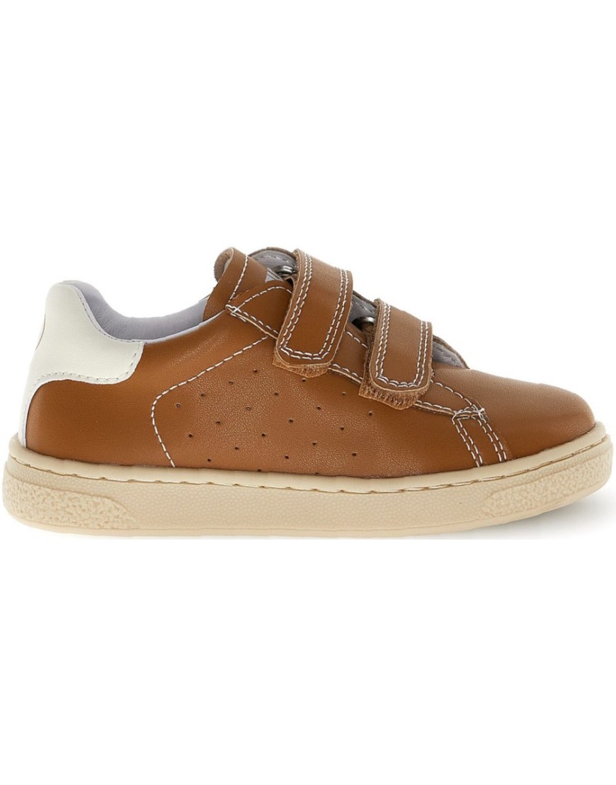 Japon Brown