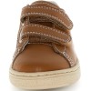 Japon Brown