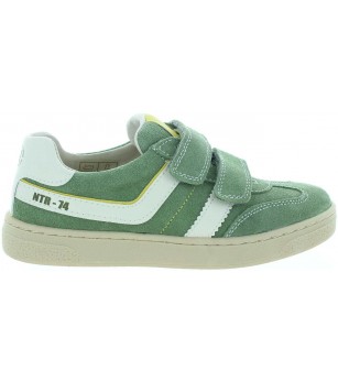Lutnik Green