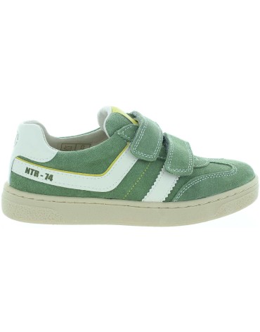 Lutnik Green