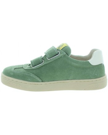 Lutnik Green Lutnik Green
