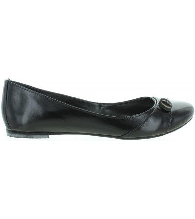 Dandi Black 