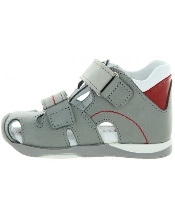 Halibut Gray