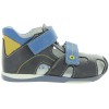 Halibut Navy