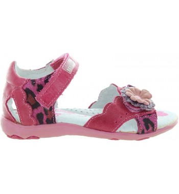 Maradona Fuchsia