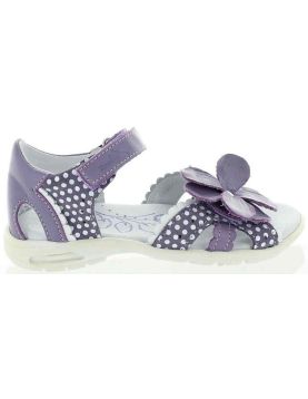 Asha Lavender Asha Lavender