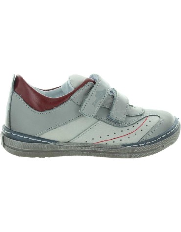 Pingwin Gray