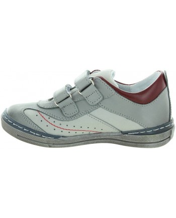 Pingwin Gray