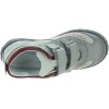 Pingwin Gray