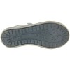 Pingwin Gray