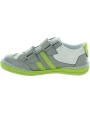 Phoenix Gray