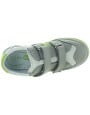 Phoenix Gray