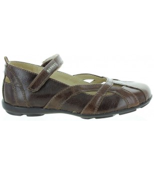 Amfora Brown