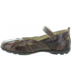 Amfora Brown