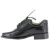 Wegiel Black 