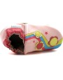 Rainbow Pink