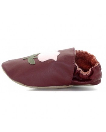 Tulipan Burgundy Tulipan Burgundy