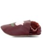 Tulipan Burgundy