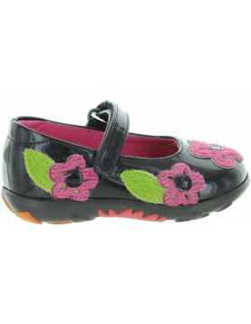 Brazia Black Brazia Black